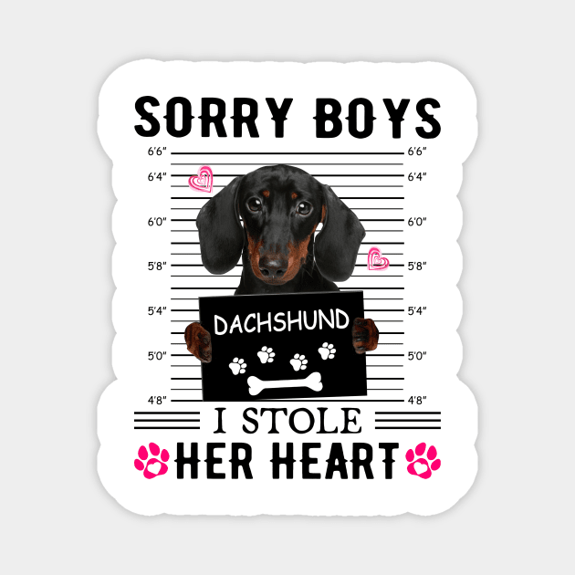 Black Dachshund Sorry Boys I Stole Her Heart Valentine's Day Magnet by PlumleelaurineArt