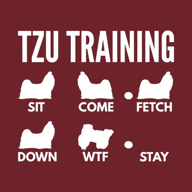 Shih Tzu Training Shih Tzu Dog Tricks Shih Tzu T Shirt Teepublic