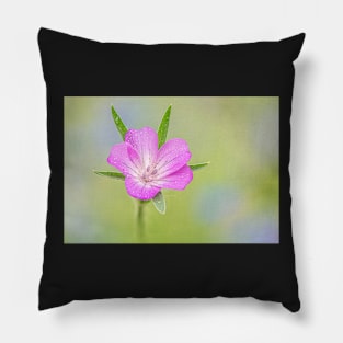 Corncockle Flower Pillow