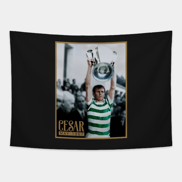 Cesar - Lisbon Lion Tapestry by TeesForTims