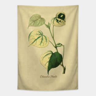 Chlorotic Plants With Details Tapestry