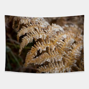 Icy Fern Tapestry