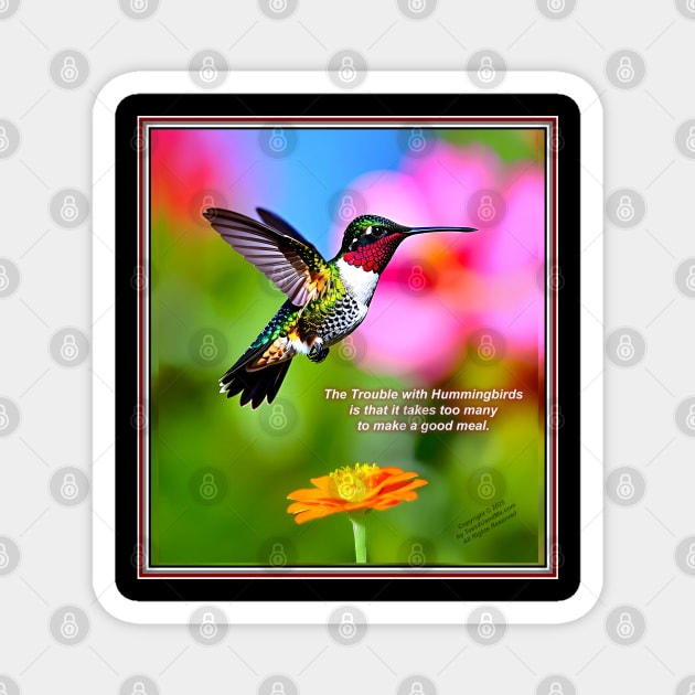 THE TROUBLE WITH HUMMINGBIRDS Magnet by Erik's Store