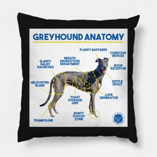 Greyhound Anatomy Pillow