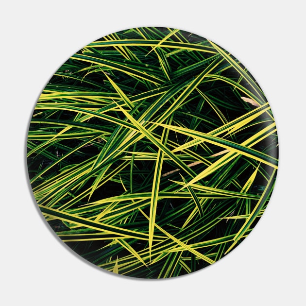 Yellow Green neon - needles pattern - Abstract photography Pin by ArtByMe