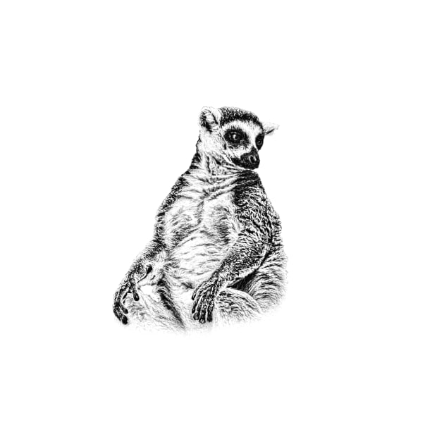 Lemur by Guardi