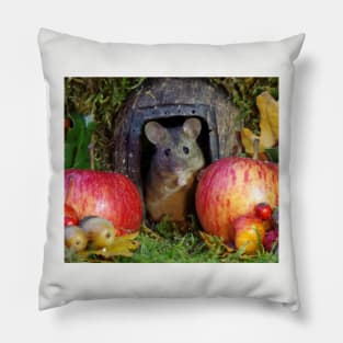 wild Autumn house mouse and  apple Pillow