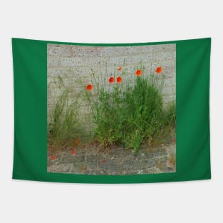 poppy Tapestry