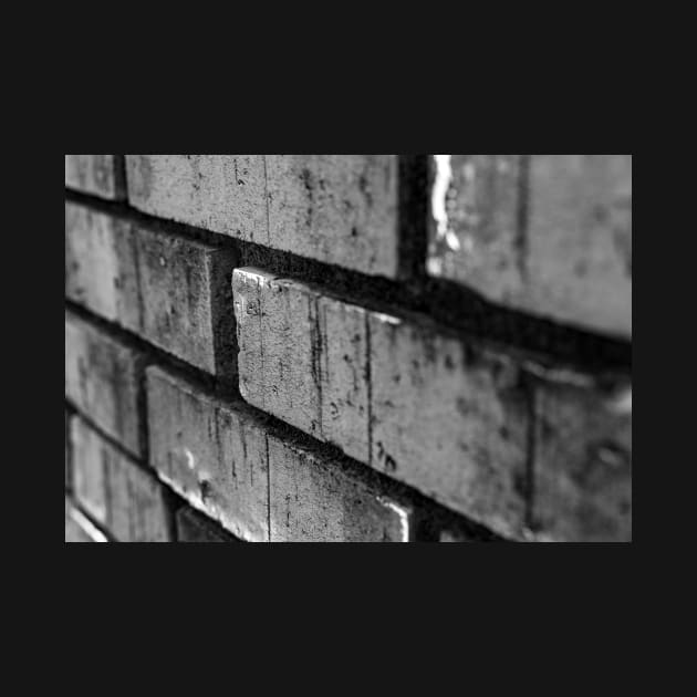 Bricks in a wall by Ckauzmann