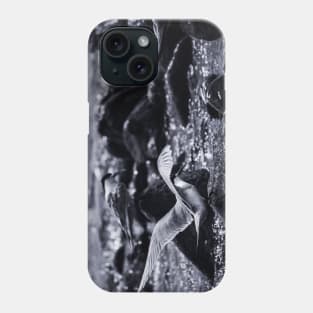 Crested Tern_VOA8026 Phone Case