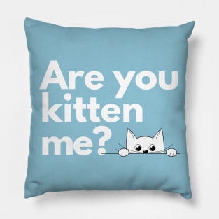 Are you kitten me? Pillow