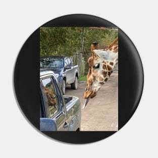 This Giraffe Thinks This Truck Might be Tasty Pin