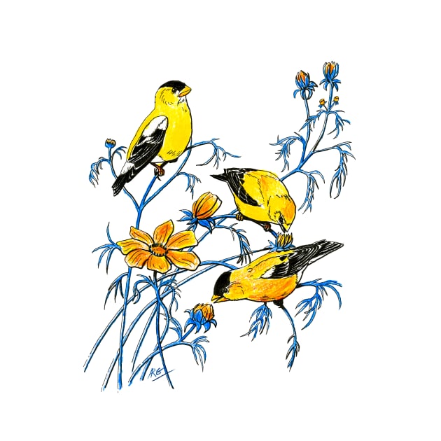 American Goldfinch color pencil by ShiningLightGallery