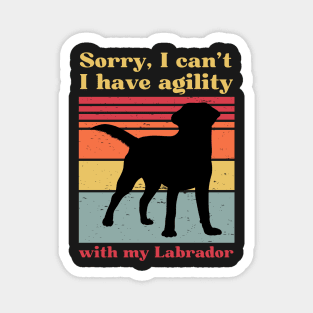 Sorry I can't, I have agility with my Labrador Magnet