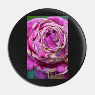 Rose Pin