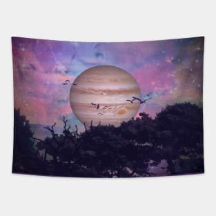 Callisto Tapestry