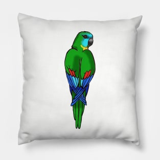 Turquoise Parrot Pillow