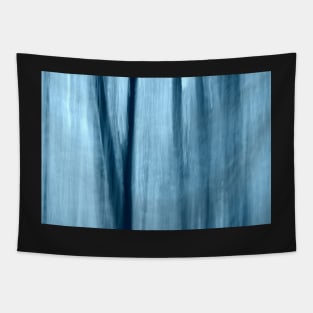 Blue abstract #2 Tapestry