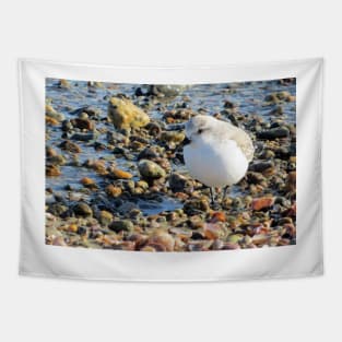 Sanderling on the Beach Tapestry