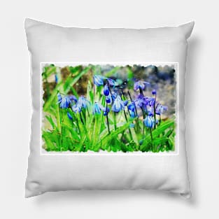 Scilla Spring Flowers 2 Pillow