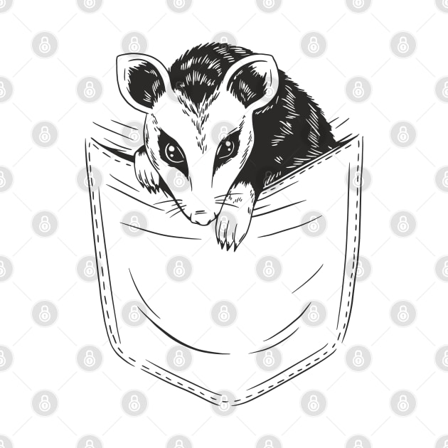 Pocket Possum by Christyn Evans