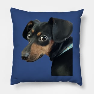 Doggie Expressions Pillow
