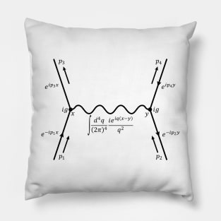 Feynman Diagram, quantum field theory and particle physics Pillow