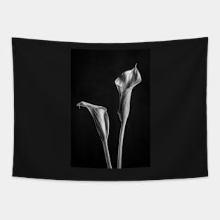 Calla Lilies in Black and White with a Black Background Tapestry