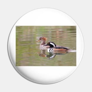 Welcome to the Hood - Hooded Mergansers Pin