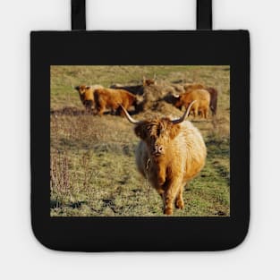 Highland cattle Tote