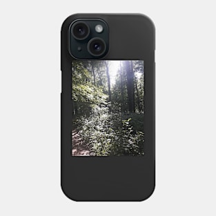 Forest path Phone Case