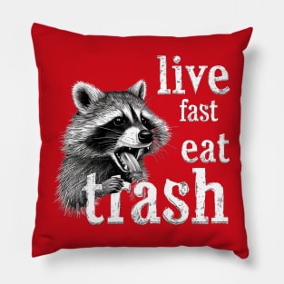 Live Fast Eat Trash Pillow