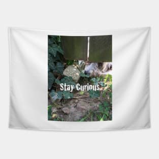 Stay Curious Tapestry