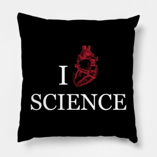 I love Science Pillow