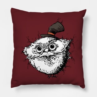 A Cute Fuzzy Owl with an Adorable Little Hat Pillow