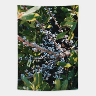 Bae-Berry Tapestry