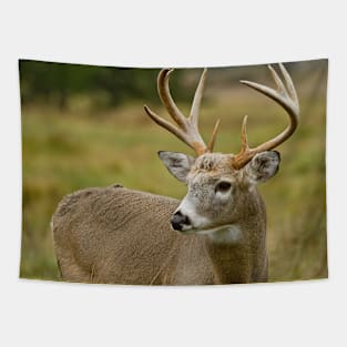 White-tailed Deer Tapestry