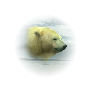 Polar bear T-Shirt