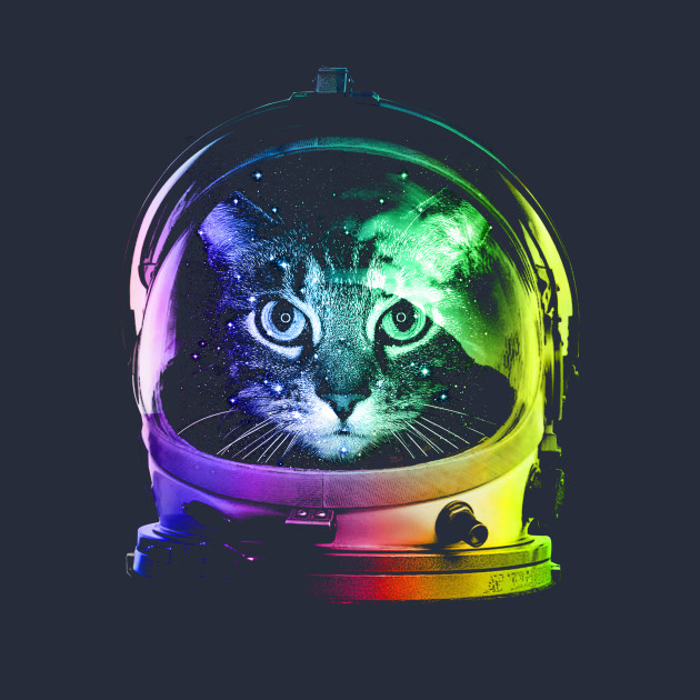 Space cat