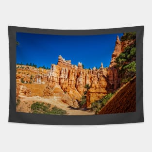 Bryce Canyon National Park Tapestry