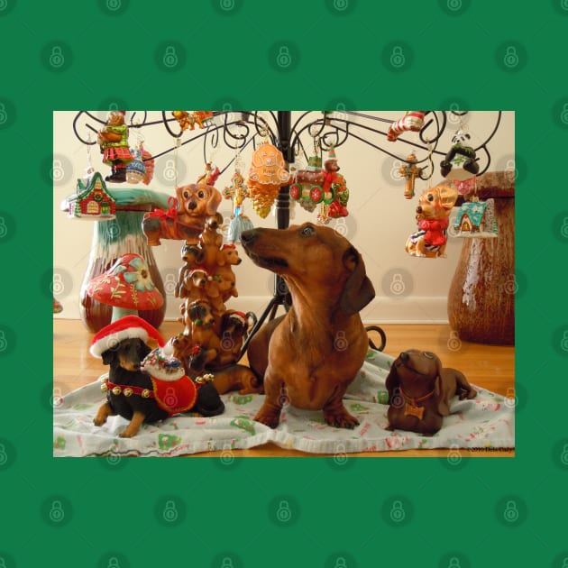 Christmas Dachshund (Version 2) by DebiCady