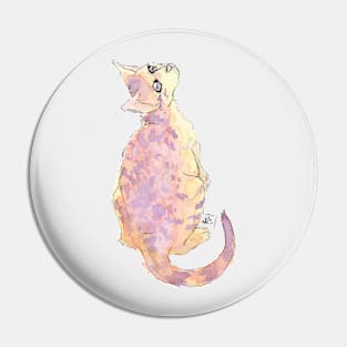 Sunset Kitten Pin