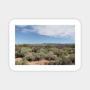 McDowell Mountain Regional Park Magnet