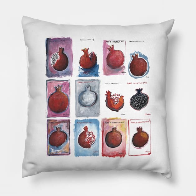 Punica granatum (pomegranate) Pillow by micalef