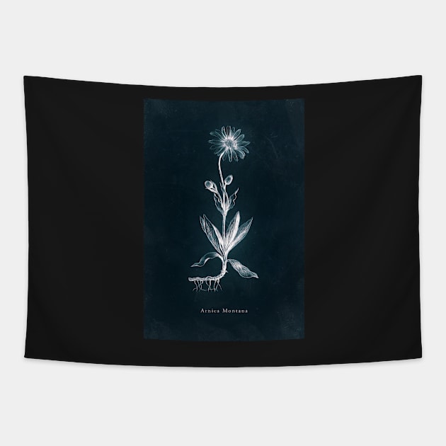 Cyanotype - Arnica Montana Tapestry by PixelHunter