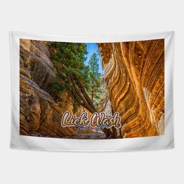 Lick Wash Trail Hike Tapestry by Gestalt Imagery