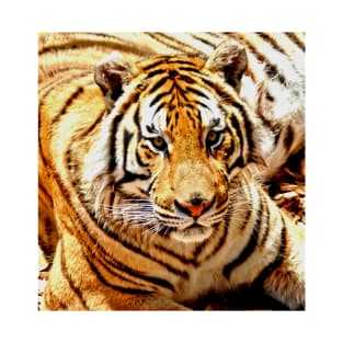 Bengal Tiger T-Shirt