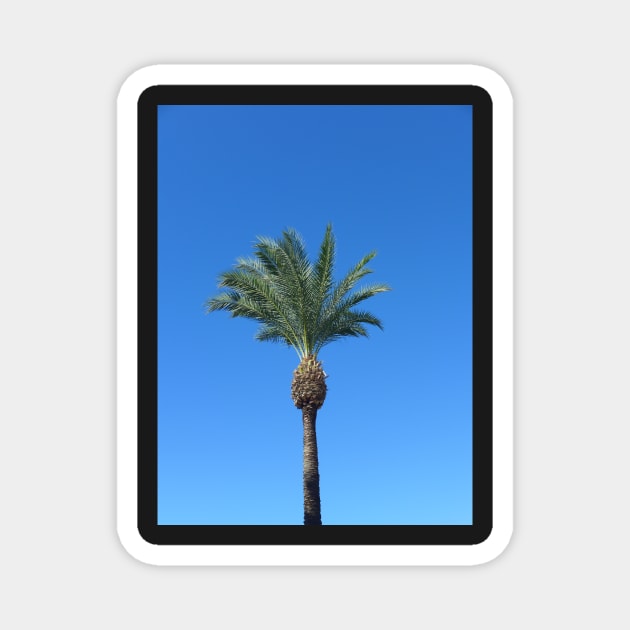 Single Palm Tree with Blue Sky2 Magnet by Sandraartist