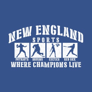 wicked decent champions T-Shirt