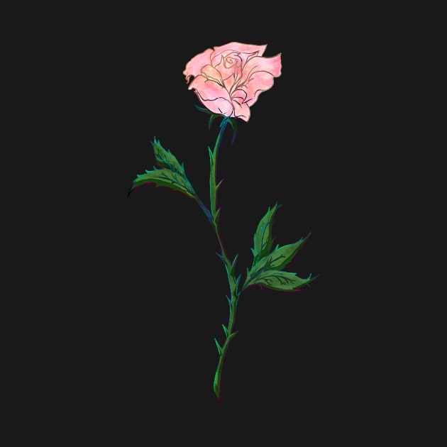 Pink Rose by AidanThomas